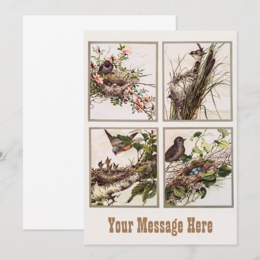 Gepersonaliseerde vogelmam en vogelgriep - Baby va Bedankkaart (Voorkant / Achterkant)