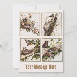 Gepersonaliseerde vogelmam en vogelgriep - Baby va Bedankkaart