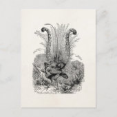  gepersonaliseerde vogelstand - Retro Lyrebird vog Briefkaart (Voorkant)