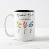 Gepersonaliseerde vogelvlucht, grootmakerstuin tweekleurige koffiemok (Links)