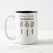 Gepersonaliseerde vogelvlucht, grootmakerstuin tweekleurige koffiemok (Links)