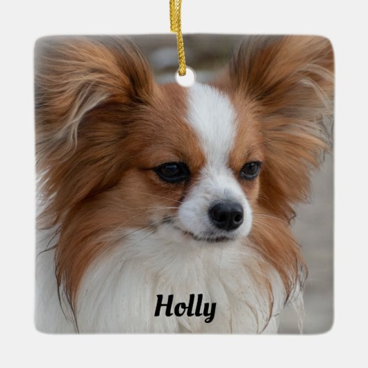 Gepersonaliseerde Vriendelijke Papillon Puppy Hond Keramisch Ornament (Voorkant)