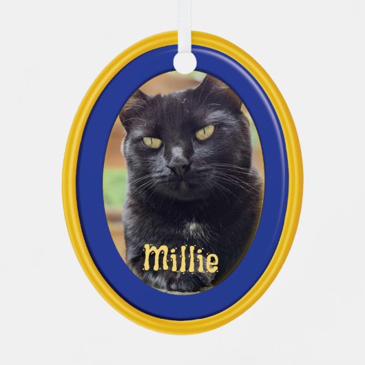 Gepersonaliseerde Vrienden van Felines Ornament (Achterkant)
