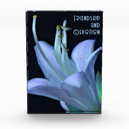 Gepersonaliseerde vriendschap Paarse bloem close-u Fotoblokken