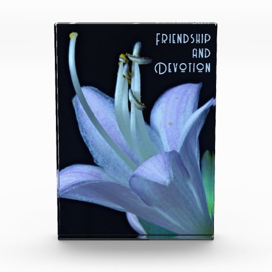 Gepersonaliseerde vriendschap Paarse bloem close-u Fotoblokken (Voorkant)