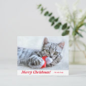 Gepersonaliseerde vrolijke kerstkitten met kerstmu briefkaart (Staand voorkant)