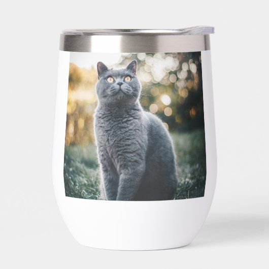 Gepersonaliseerde waterfles - aangepaste naam of o (Links)