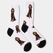 Gepersonaliseerde Waterverf Pet Sokken (Rechts)