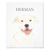 Gepersonaliseerde White Pitbull Staffy Dog Art Foto Afdruk (Voorkant)
