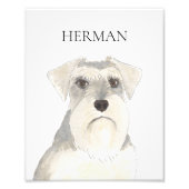 Gepersonaliseerde witte & grijze Schnauzer Art Foto Afdruk (Voorkant)