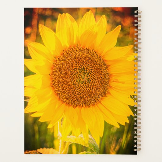 Gepersonaliseerde Zonnebloem Planner (Achterkant)