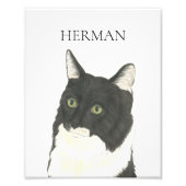 Gepersonaliseerde zwart & wit Ragamuffin Cat Art Foto Afdruk (Voorkant)