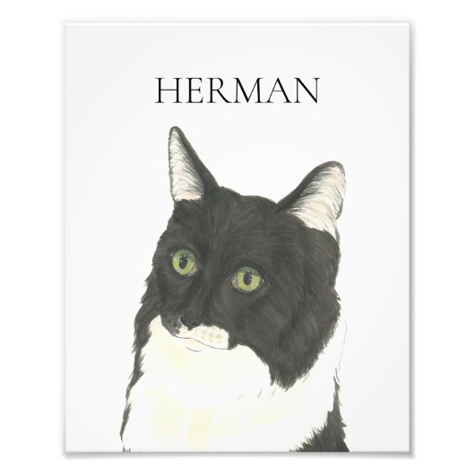 Gepersonaliseerde zwart & wit Ragamuffin Cat Art Foto Afdruk (Voorkant)