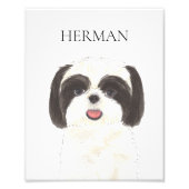Gepersonaliseerde zwart-wit Shih Tzu Art Foto Afdruk (Voorkant)