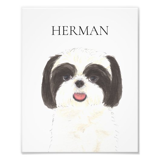 Gepersonaliseerde zwart-wit Shih Tzu Art Foto Afdruk (Voorkant)