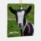 Gepersonaliseerde zwarte en witte dwarfgeit keramisch ornament (Rechts)