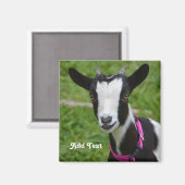 Gepersonaliseerde zwarte en witte dwarfgeit magneet (Voorkant / Achterkant)