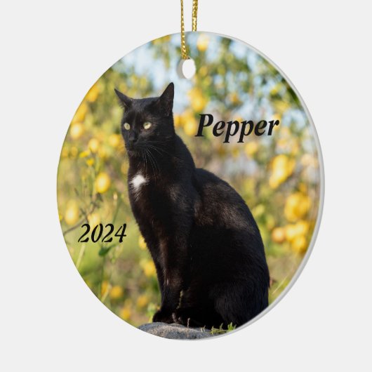 Gepersonaliseerde zwarte kat keramisch ornament (Links)