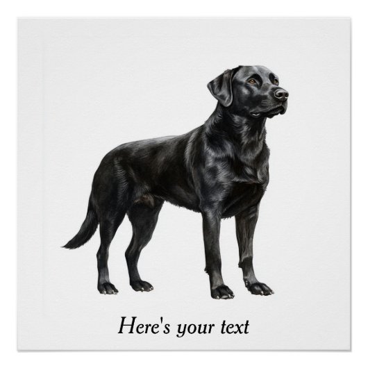 Gepersonaliseerde zwarte Labrador Retriever Decor Perfect Poster (Voorkant)