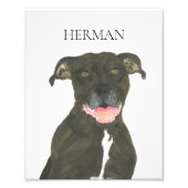 Gepersonaliseerde zwarte Pitbull Staffy Dog Art Foto Afdruk (Voorkant)