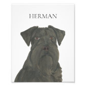 Gepersonaliseerde zwarte Schnauzer Art Foto Afdruk (Voorkant)