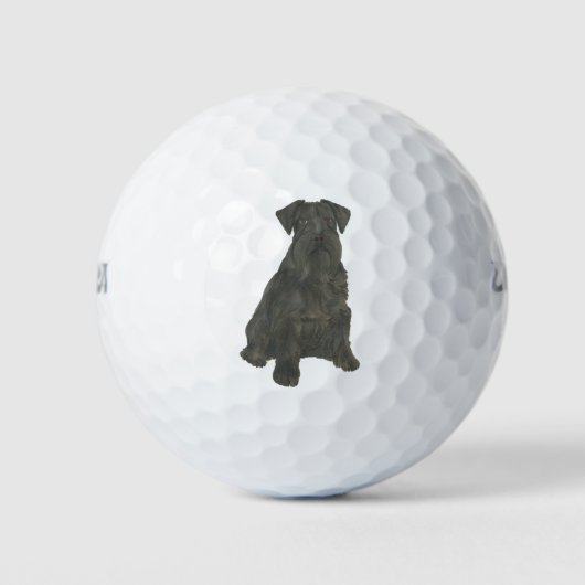 Gepersonaliseerde zwarte Schnauzer Golfballen (Voorkant)