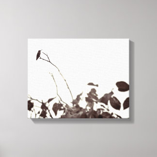 Geperst Hummingbird 14x11 Verpakt Canvas