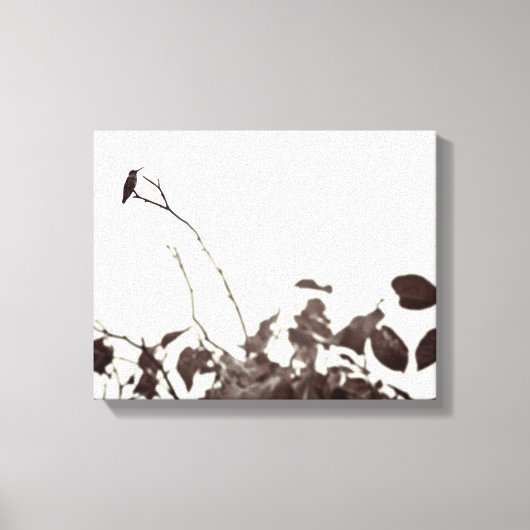 Geperst Hummingbird 14x11 Verpakt Canvas Afdruk (Voorkant)