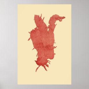 geperst zeewier origineel tweede van vier poster