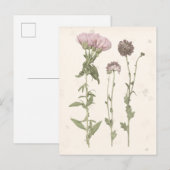 Geperste bloemen - Roze Briefkaart (Voorkant / Achterkant)