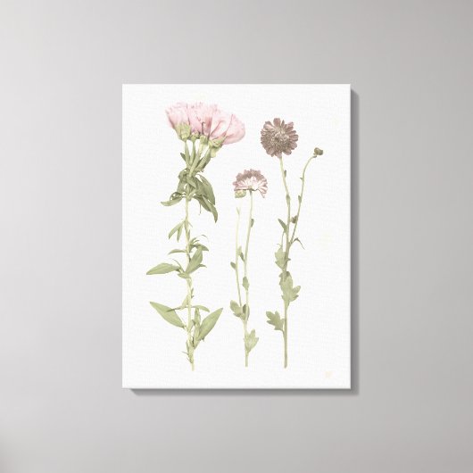 Geperste bloemen - Roze Canvas Afdruk (Voorkant)