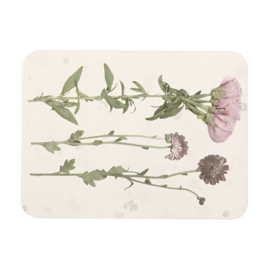 Geperste bloemen - Roze Magneet (Horizontaal)