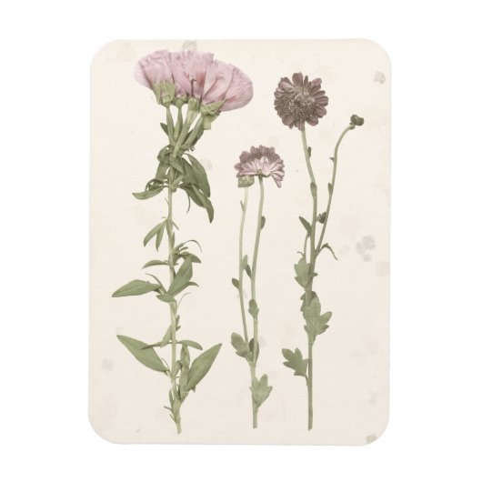 Geperste bloemen - Roze Magneet (Verticaal)