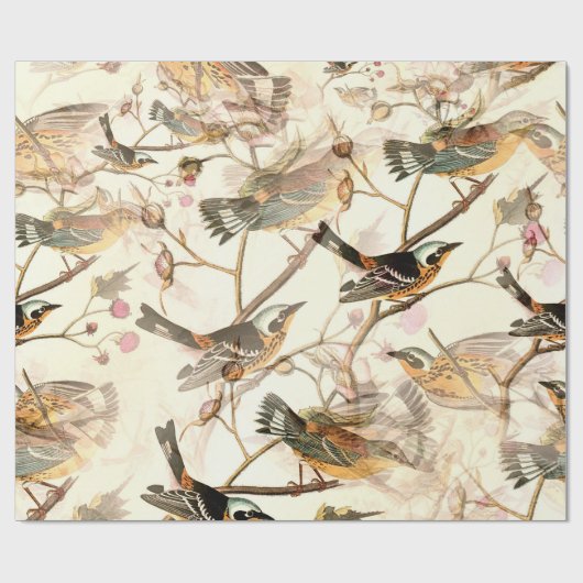 Geperste vogels cadeaupapier (Vlak)