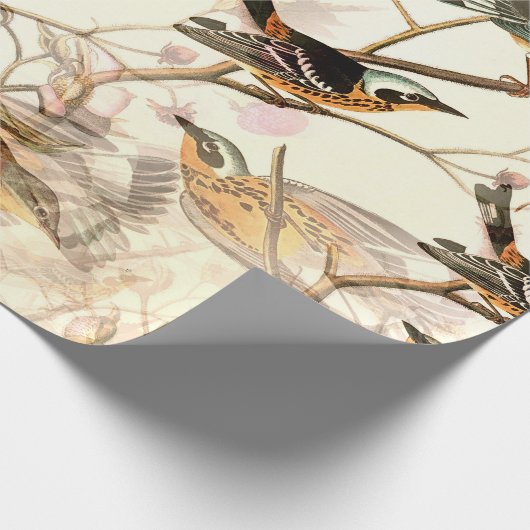 Geperste vogels cadeaupapier (Hoek)