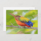 Gepilde bunting op Limb JW Briefkaart (Voorkant / Achterkant)