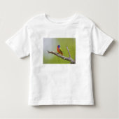 Gepilde Bunting Passerina ciris) zingend man Kinder Shirts (Voorkant)