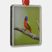 Gepilde Bunting Passerina ciris) zingend man Metalen Ornament (Rechts)