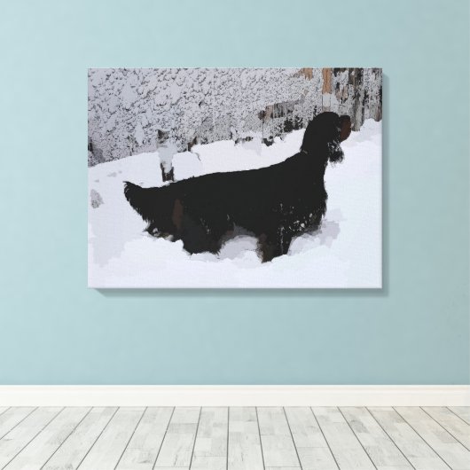 Gepilde Gordon Setter in Snowstorm Wrapped Canvas (Insitu (Houten vloer))