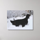 Gepilde Gordon Setter in Snowstorm Wrapped Canvas (Voorkant)