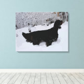 Gepilde Gordon Setter in Snowstorm Wrapped Canvas Afdruk (Insitu (Houten vloer))