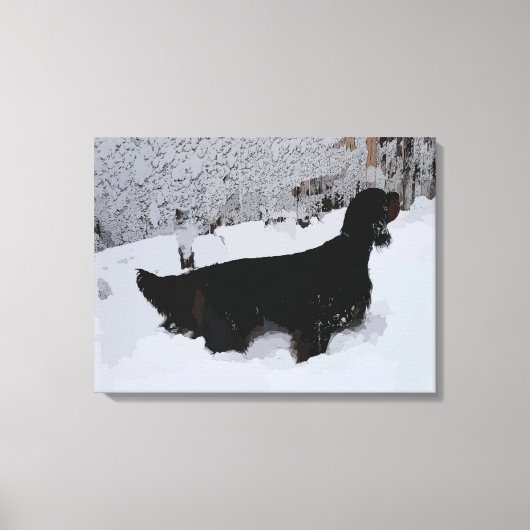 Gepilde Gordon Setter in Snowstorm Wrapped Canvas Afdruk (Voorkant)
