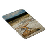 Gepilde grondpremie Magnet Magneet (Rechterzijde)