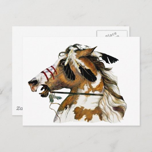 Gepilde Pony Briefkaart (Voorkant / Achterkant)