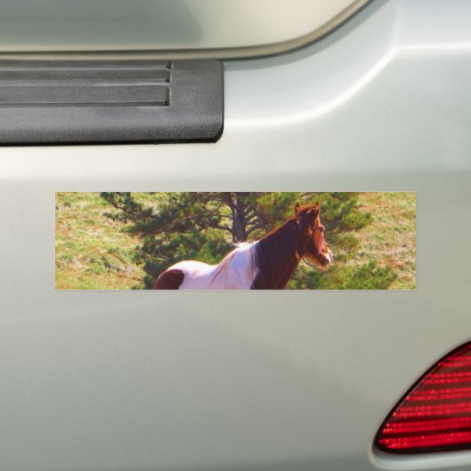 Gepilde Pony door de pine Bumpersticker (Op auto)
