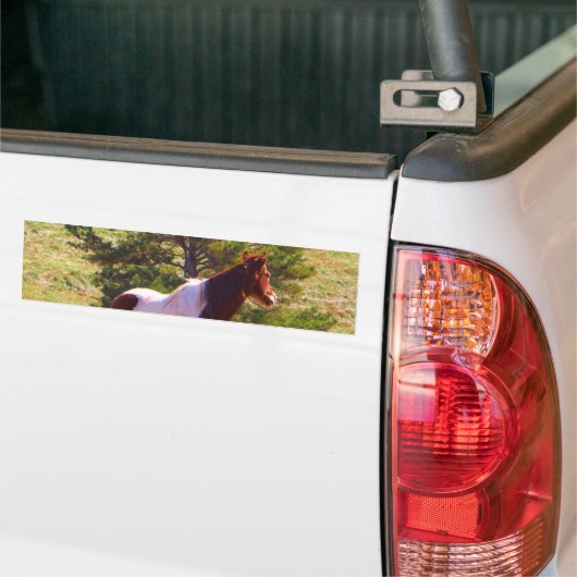 Gepilde Pony door de pine Bumpersticker (Op Truck)