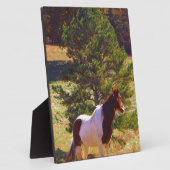 Gepilde Pony door de pine Fotoplaat (Zijkant)