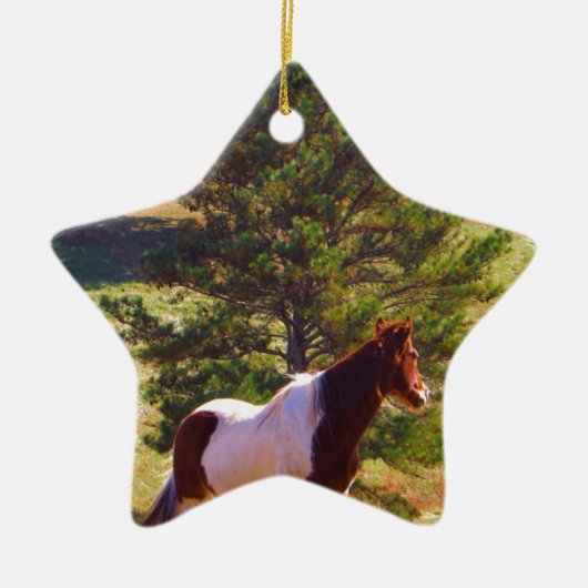 Gepilde Pony door de pine Keramisch Ornament (Voorkant)