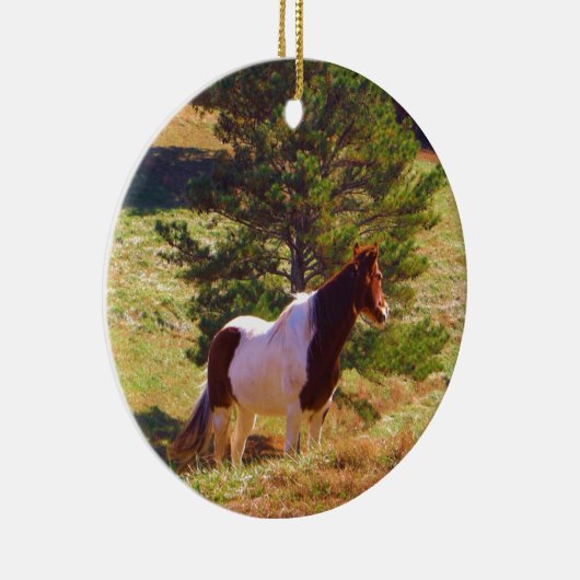 Gepilde Pony door de pine Keramisch Ornament (Rechts)