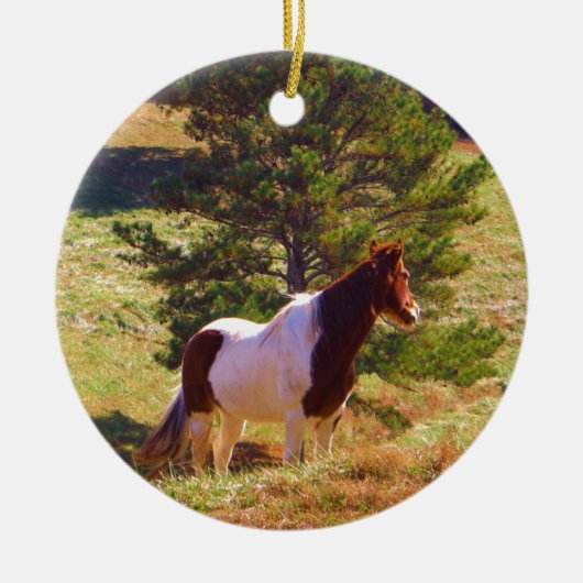 Gepilde Pony door de pine Keramisch Ornament (Voorkant)